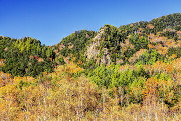 錦秋の田ノ原湿原