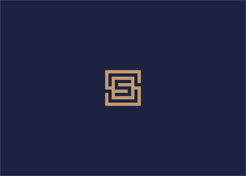 letter ss with square logo icon design vector design template inspiration