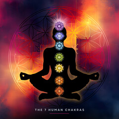 Human silhouette in yoga, lotus pose with 7 Chakras Symbols and Flower of Life. Human energy body, aura, supportive and peaceful poster, background wallpaper, for meditation and chakra energy healing.