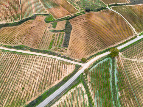 An aerial perspective capturing variegated agricultural fields and winding pathways, illustrating the geometric beauty of rural land and farming patterns in La Rioja Spain