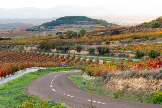 A picturesque landscape featuring a winding road bordered by vibrant autumn fields, epitomizing the beauty of rural countryside and nature's colorful palette in La Rioja Spain