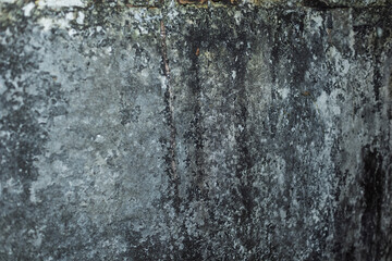 Obraz premium A damp concrete wall covered in wide patches of black mold, with cracks indicating a lack of maintenance and repair. The wall, which was once white, has now aged and discolored.