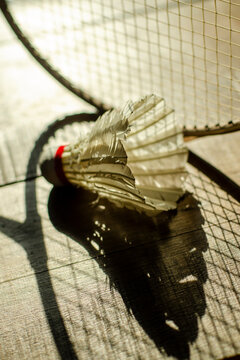 shuttlecock