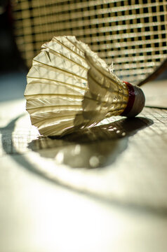 shuttlecock