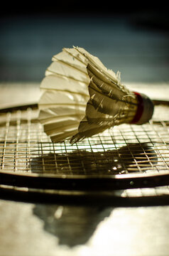 shuttlecock