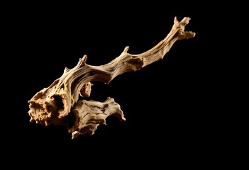 Fototapeta premium dry branch with sharp edges, isolated on a deep black background, with a subtle spotlight illuminating the branch's features create with ai