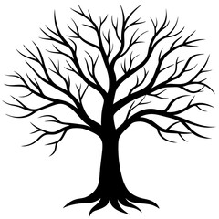 Obraz premium silhouette of a tree without leaves.