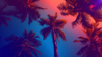 Obraz premium A colorful view of swaying palm trees against a vibrant sunset sky