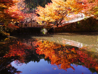 丹波の紅葉の名所　円通寺