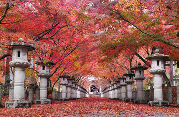 兵庫県丹波市にある高山寺