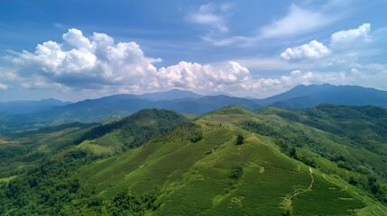 Obraz premium Aerial View of Lush Tea Garden on Mountainside with Blue Sky and Clouds