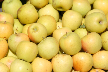 Pile of Golden Delicious Apples for Sale at Farmers Market in Adana, Turkey