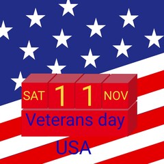 Text usa veteran day on 11 nov. Vector illustration
