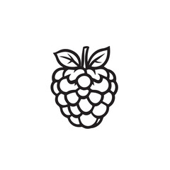 Raspberries In cartoon, hand-drawn flat style. image for social media, websites and UI. Isolated 2D vector design in logo, icon, sketch style, simple line vector, single color. AI Generative Art.