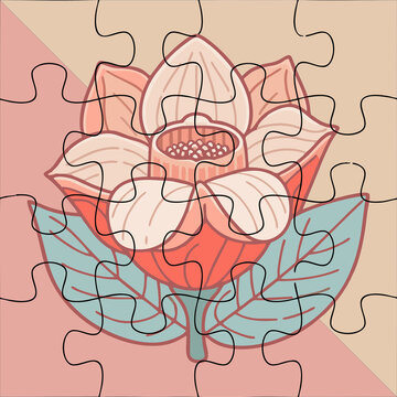 RAFLESIA ARNOLDI FLOWER