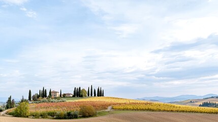 Fototapeta premium A breathtaking view of rolling hills adorned with a patchwork of autumn colors, including lush vineyards and golden fields. The scene is complemented by a dramatic sky, filled with soft clouds that