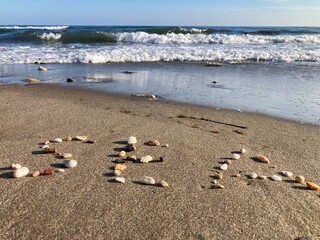 A view of a sandy beach with small seashells spelling the word “SEA” in the foreground, and gentle waves crashing in the background under a clear sky.