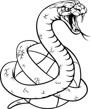 A snake basketball ball team cartoon animal sports mascot