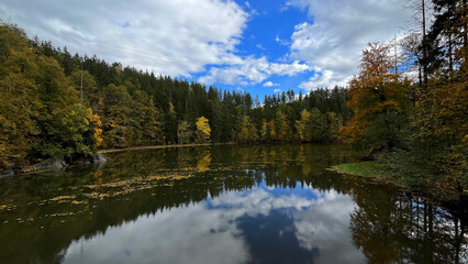 Fototapeta premium Autumn landscape. Autumn trees reflect on the surface of the river with floating autumn leaves. Poland