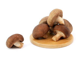 Fresh shiitake mushrooms on a wooden tray isolated on white background.