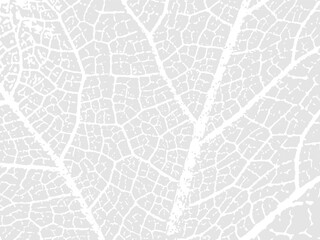 Leaf Raw, Organic Texture  Vector Background 
