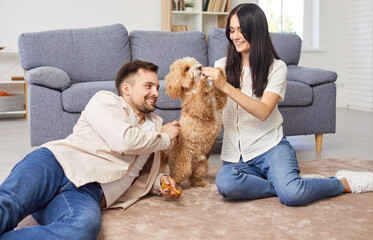 Portrait of a happy smiling young couple playing with little cute dog sitting on floor in the...