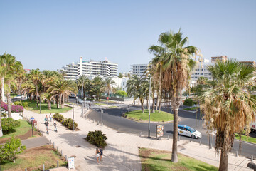 Lively area with palm trees, neatly landscaped pathways and modern hotels lining up the road,...