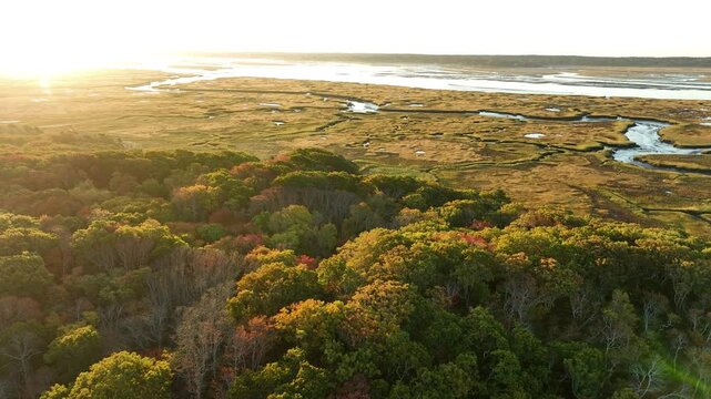 Moving drone shot of salt Marsh during at Cape Cod, Barnstable Massachusetts in USA. Sun beams.