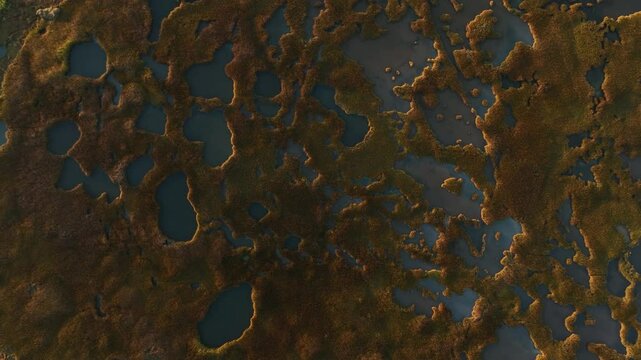 Aerial shot of famous Salt Marsh at Cape Cod, Barnstable Massachusetts in USA. Sunrise view.