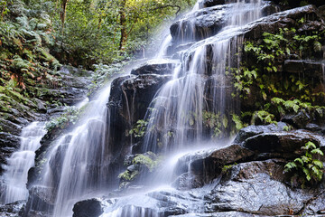 Fototapeta premium 호주 블루마운틴 폭포