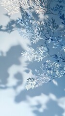 Elegant blue botanical shadows on a pale background design for wall art or posters.