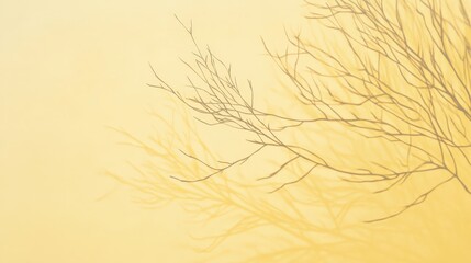 Serene nature: leafless branches silhouetted against a pale yellow background for tranquil design.