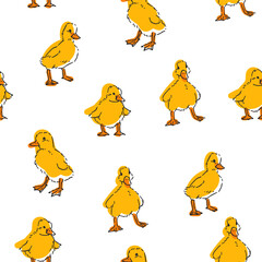 Vector seamless pattern with yellow ducklings isolated on a white background. Endless texture with cute chickens for baby design.