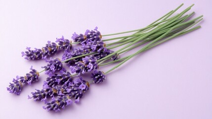 A bunch of lavender flowers arranged on a light purple background.