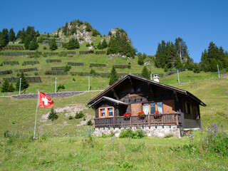 Chalet Suisse