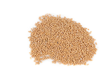 mustard seeds isolated on white background 