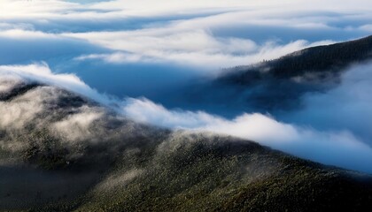 Ethereal Morning Mist Blanketing Pine Forests. Serene Dawn Landscape Dense Fog Rolling Over Mountainous Woodland, Tranquil Beauty of Nature's Mystical Atmosphere in the Golden Hour