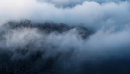 Fototapeta premium Ethereal Morning Mist Blanketing Pine Forests. Serene Dawn Landscape Dense Fog Rolling Over Mountainous Woodland, Tranquil Beauty of Nature's Mystical Atmosphere in the Golden Hour