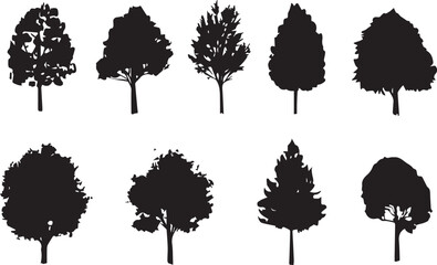 Set Trees. Hand drawn vector illustration	