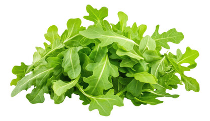 Obraz premium Bunch of fresh Arugula greens isolated on a transparent background PNG