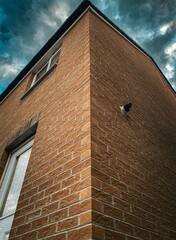 When you find the perfect corner... for absolutely nothing. Just a humble brick wall living its best life! 🧱😂