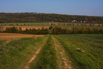 autumn landscape with a Path in the meadow with trees 
