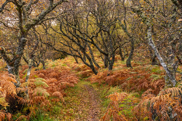 Fototapeta premium Travelling the NC500 route around the north coast of Scotland