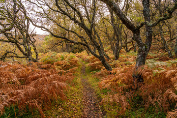 Travelling the NC500 route around the north coast of Scotland