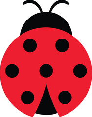 ladybug cartoon vector illustration © Sabiha