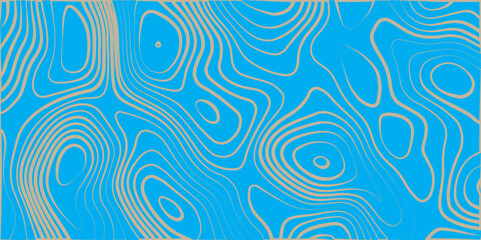 Abstract Topographic background White&Blank  Topographic Simple Map Design