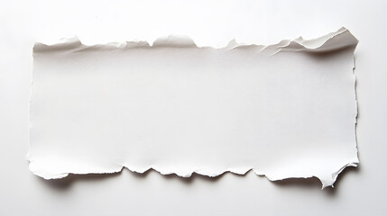 Fototapeta premium Torn paper texture