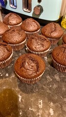 Freshly Baked Chocolate Cupcakes on a Kitchen Counter