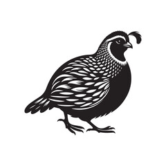 Quail Bird Silhouette Illustration - Vector Format.