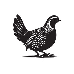 Quail Bird Vector Silhouette on Clean White Background.